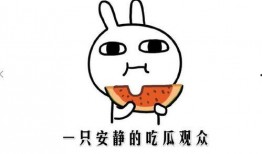 吃瓜是什么意思,网络热词背后的文化现象